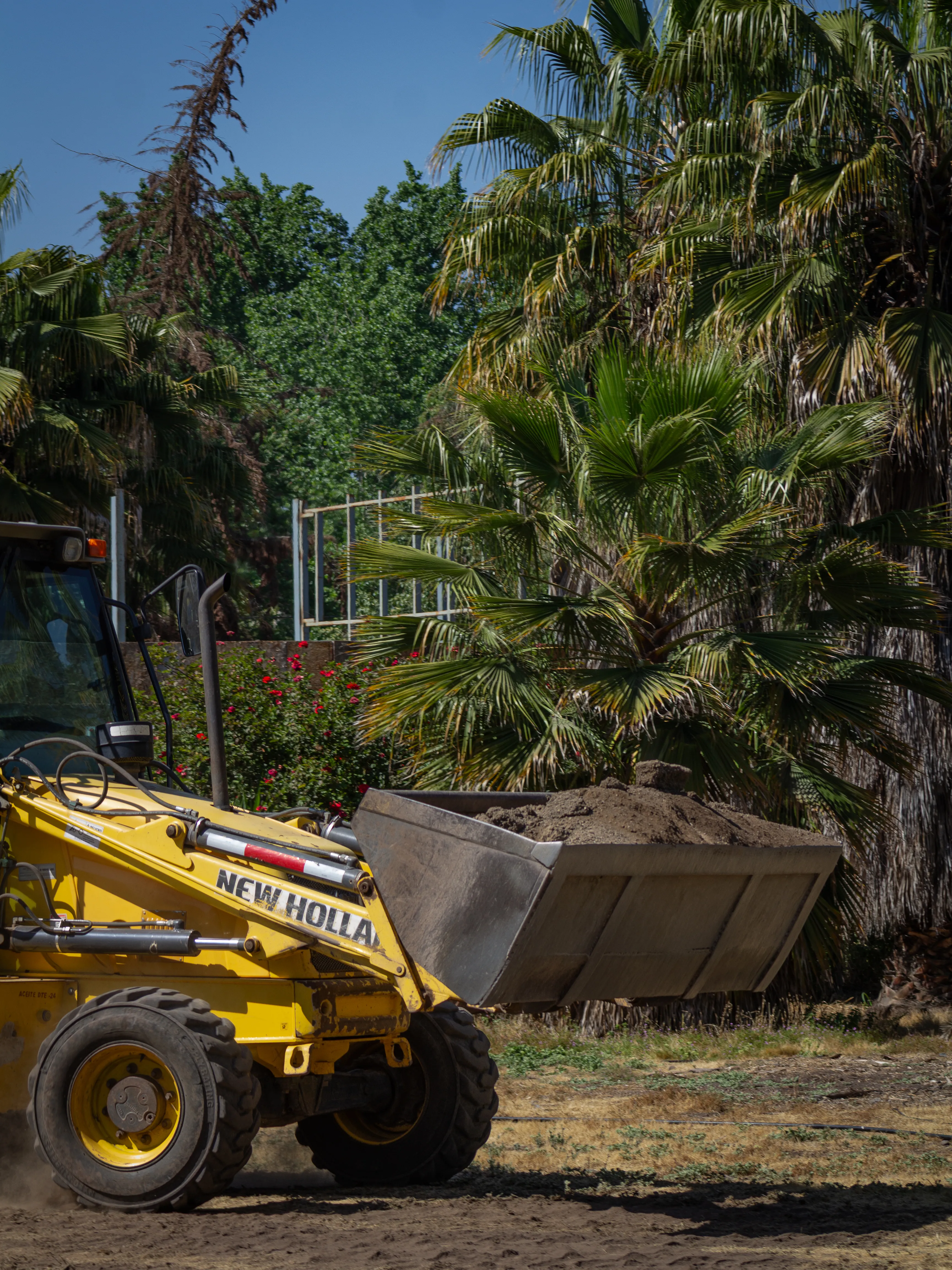 Avance de proyecto de edificación — muros y estructuras verticales